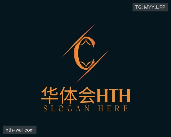 简介华体会官网